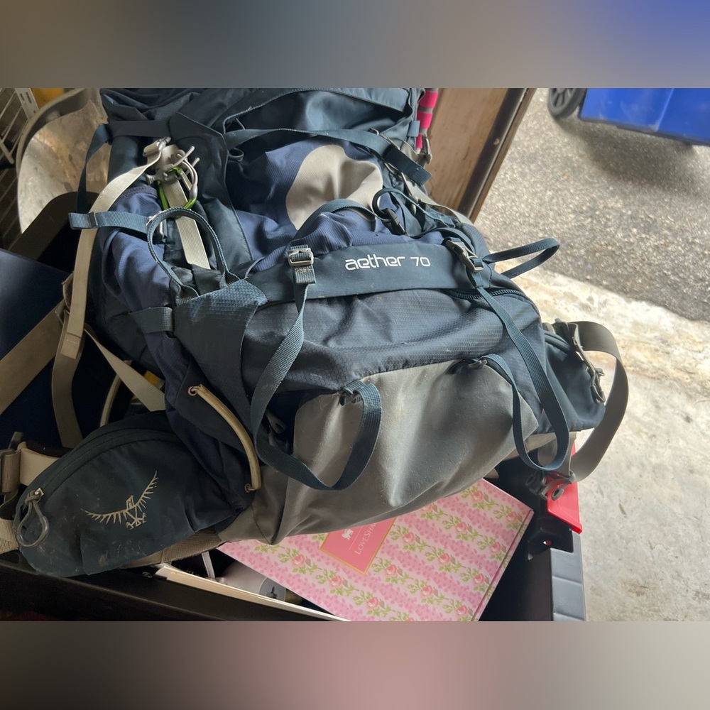 Osprey Backpack - image 2